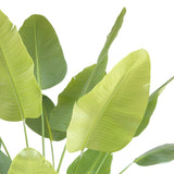 Everlasting Bird of Paradise Tree with Modern Gray Planter - OROA