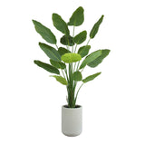 Everlasting Bird of Paradise Tree with Modern Gray Planter - OROA