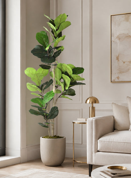 Fiddle Leaf Fig Tree - Natural Look