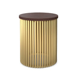 Demirel Mango Wood and Gold End Table | Catchy