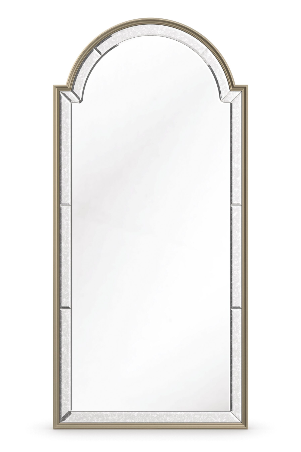 Vintage Border Floor Mirror Big Reveal