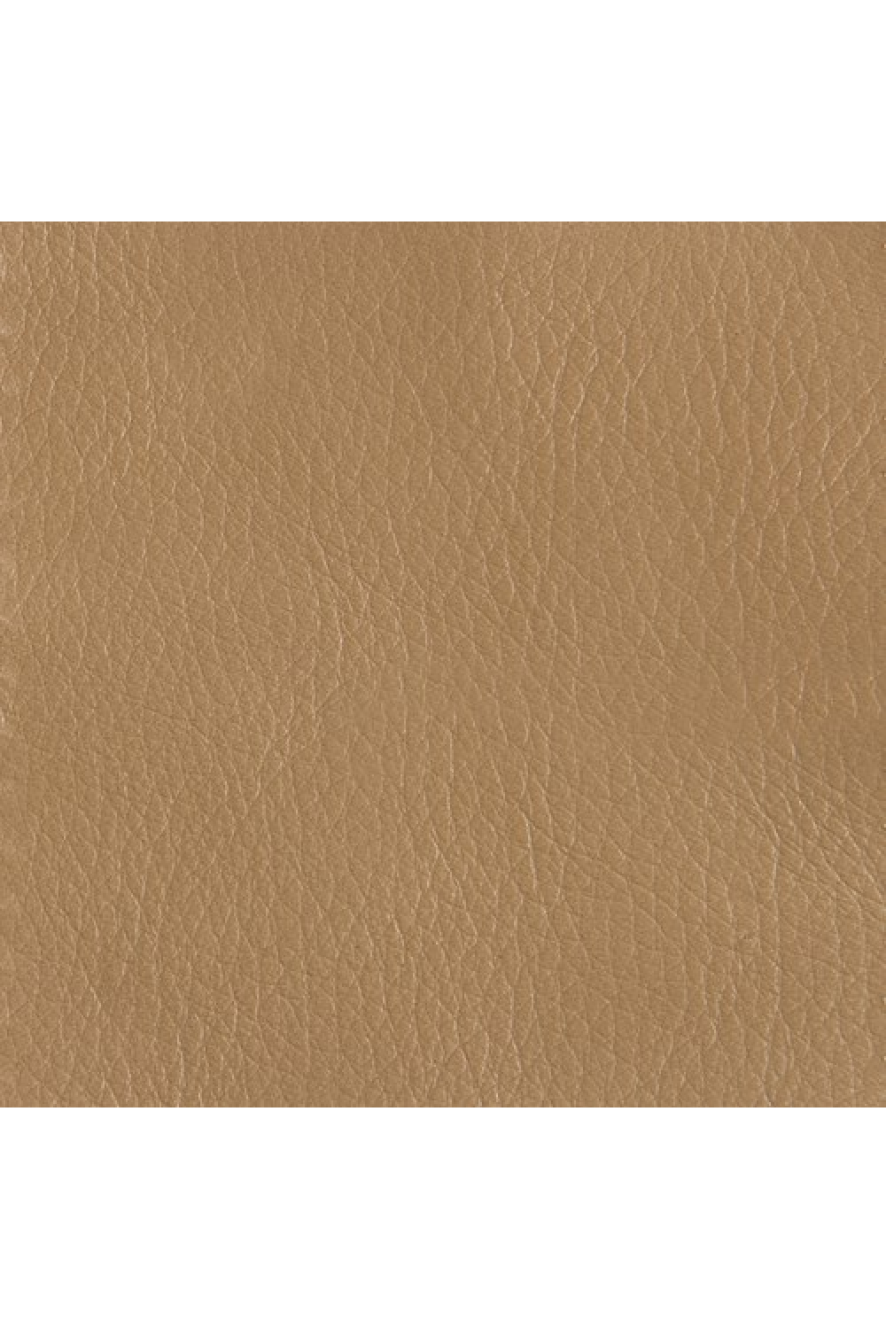 Leather Storage Bed Bench | Caracole For The Love Of Bed Bench