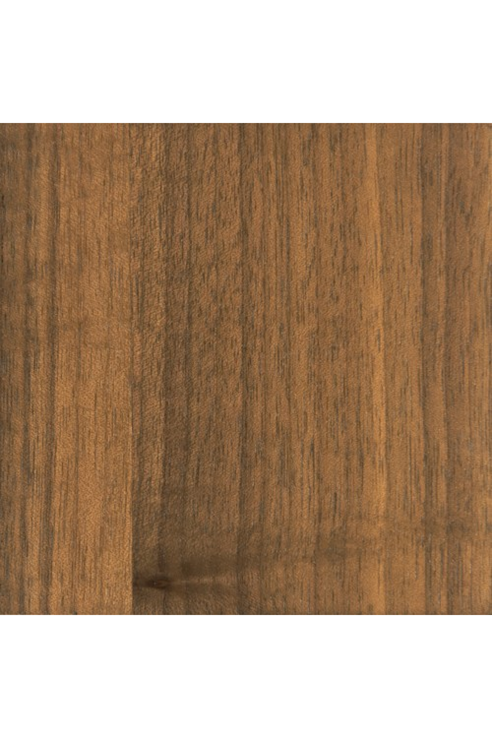 Cylindrical Walnut Base Side Table | Caracole Seychelles | Oroa.com