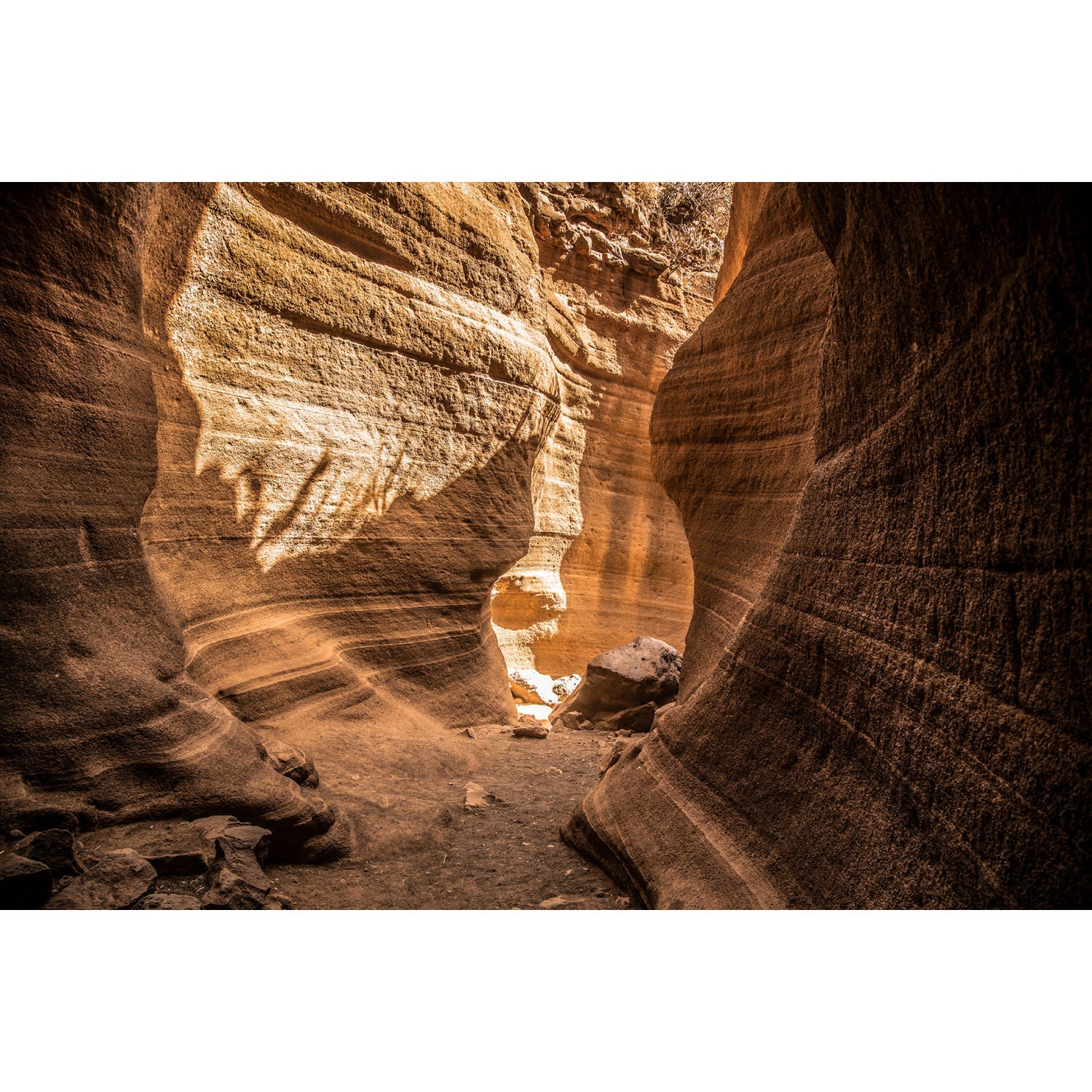 Natural Wonder Photographic Art | Cobra Art Slot Canyon | Oroa