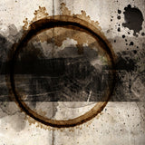 Weathered Brown Circle Photographic Art | Cobra Art Abstract