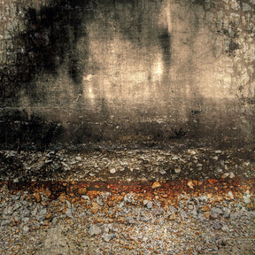 History Weathered Earth-Toned Abstract Art art print by Cobra Art