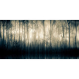 Misty Woodland Photographic Art | Cobra Art Forest Whispers Part II