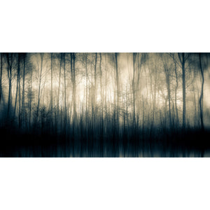   Misty Woodland Photographic Art | Oroa.com