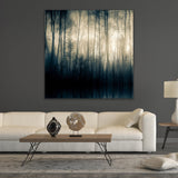 Misty Woodland Photographic Art | Cobra Art Forest Whispers Part II
