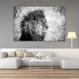 Monochrome Animal Portrait Photographic Art | Cobra Art Lion King