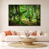 Lush Woodland Photographic Art | Cobra Art Forest of North Spain