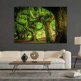 Mossy Trees Photographic Art | Cobra Art Gorbeia Forest