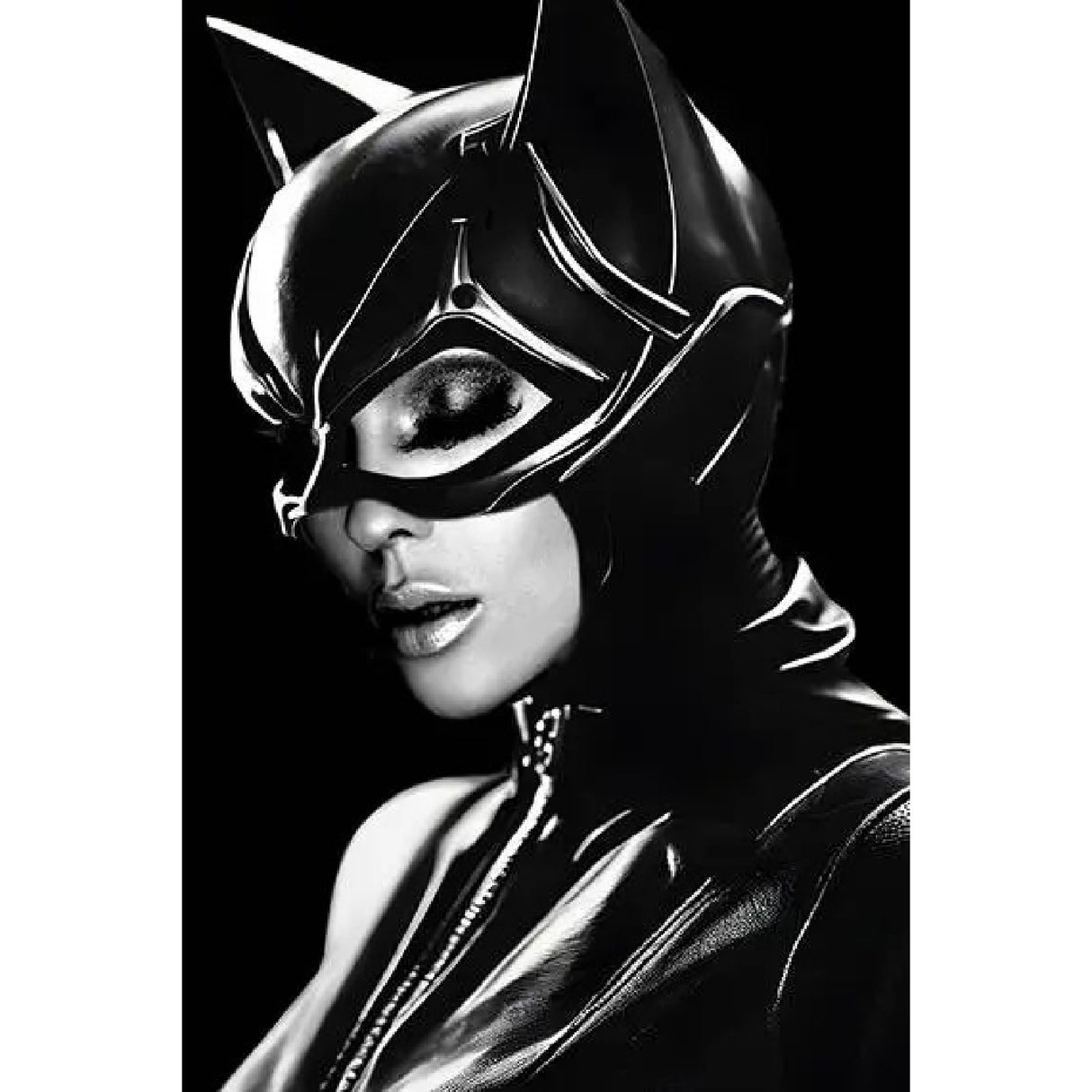 Black & White Catwoman Photographic Art | Cobra Art Some Like It