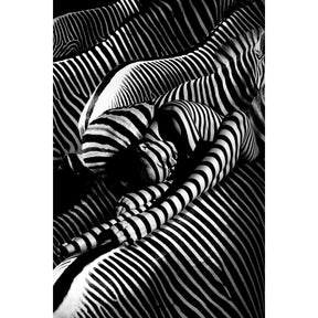 Riding A Zebra Optical Illusion Stripes photographic art print by Cobra Art