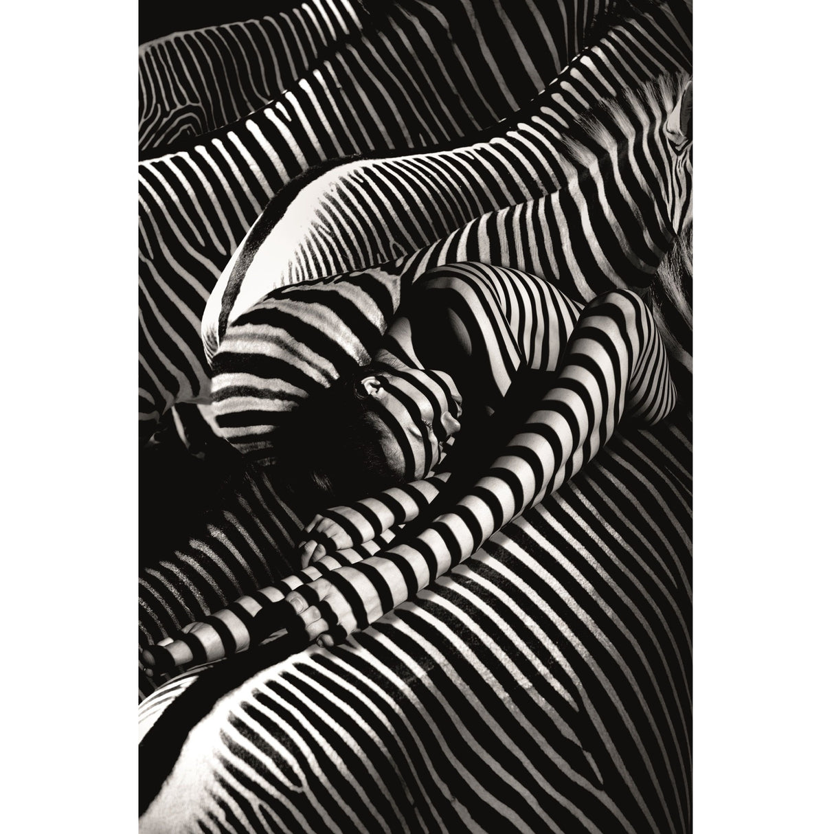   Modern European furniture - Contemporary Photographic Artwork - www.oroa.com | Oroa.com