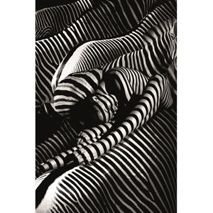  Modern European furniture - Contemporary Photographic Artwork - www.oroa.com | Oroa.com