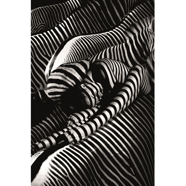 Modern European furniture - Contemporary Photographic Artwork - www.oroa.com