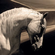Modern European furniture - Black And White Photographic Artwork - www.oroa.com