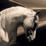 Modern European furniture - Black And White Photographic Artwork - www.oroa.com