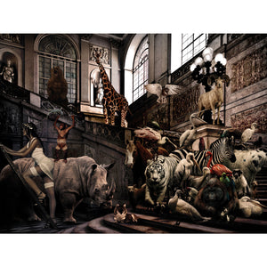   Urban Menagerie Photographic Art | Oroa.com