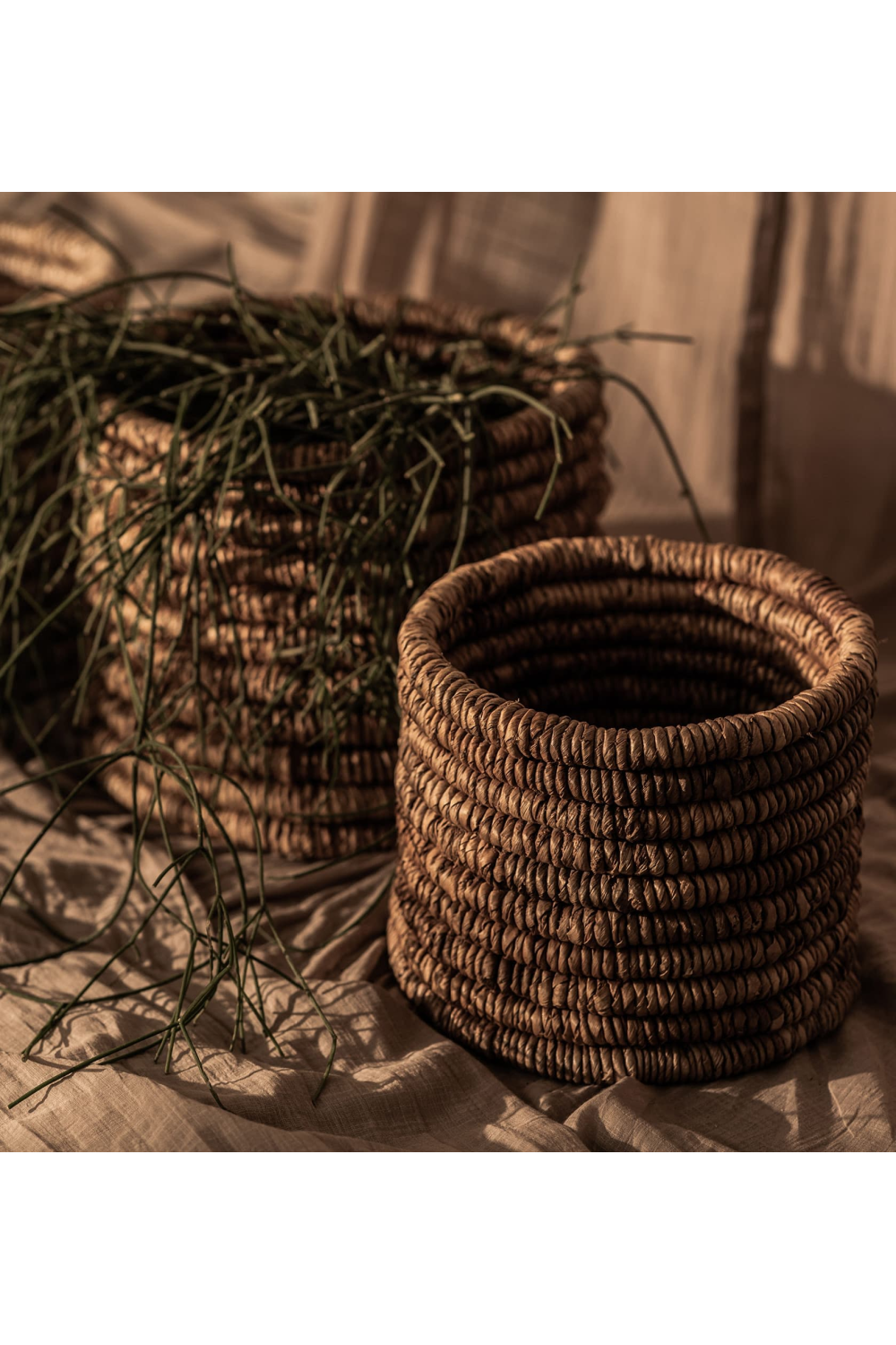 Round Woven Abaca Basket Set (2) - M | dBodhi Caterpillar Ambang | OROA.com