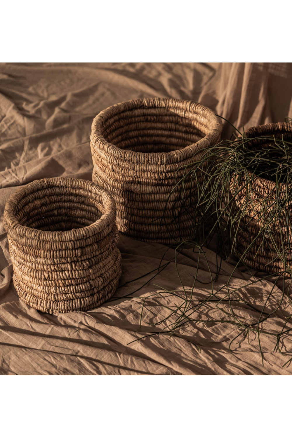Round Woven Abaca Basket Set (2) - M | dBodhi Caterpillar Ambang | OROA.com