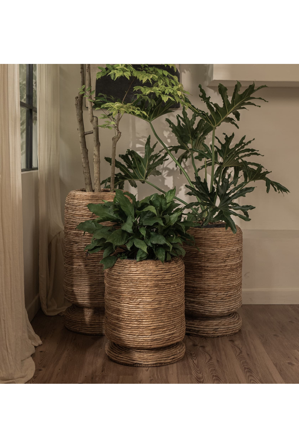 Abaca Cover Pot | dBodhi Cone |  OROA.com