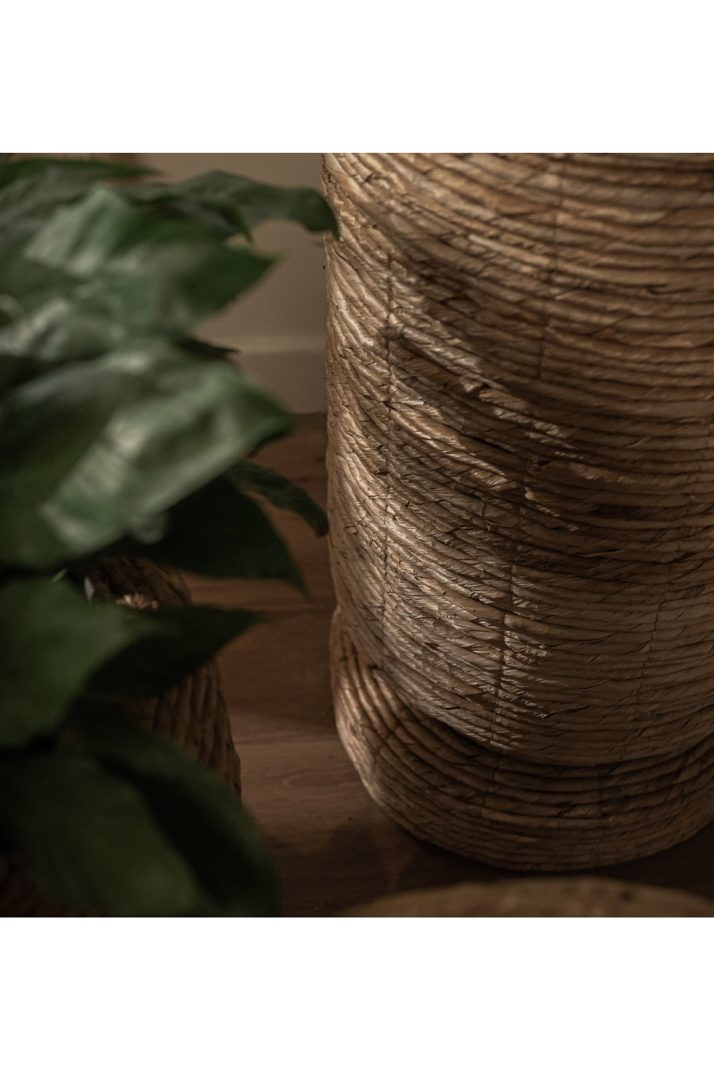 Abaca Cover Pot | dBodhi Cone |  OROA.com