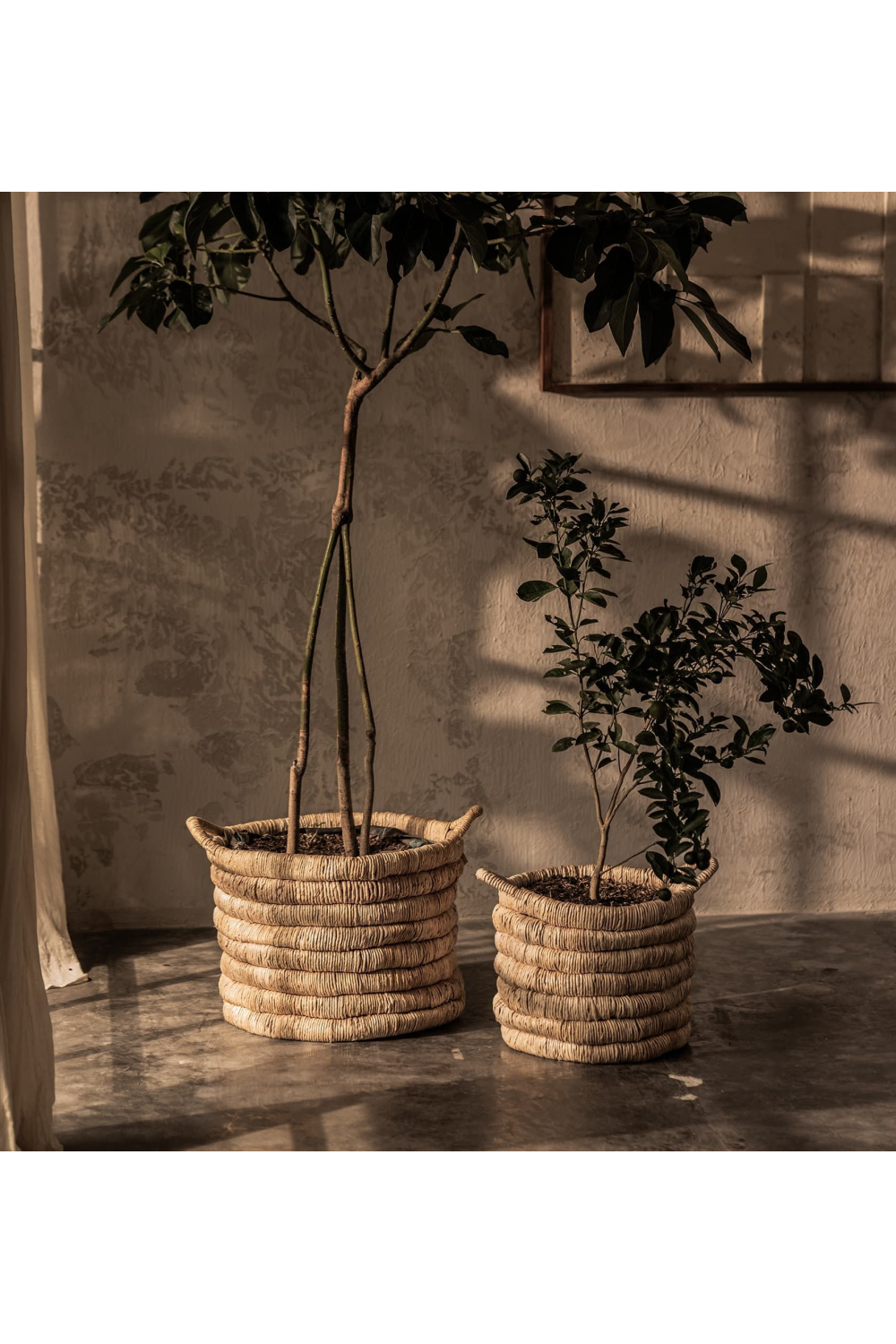 Abaca Basket With Handle Set (2) | dBodhi Caterpillar Sago | OROA.com