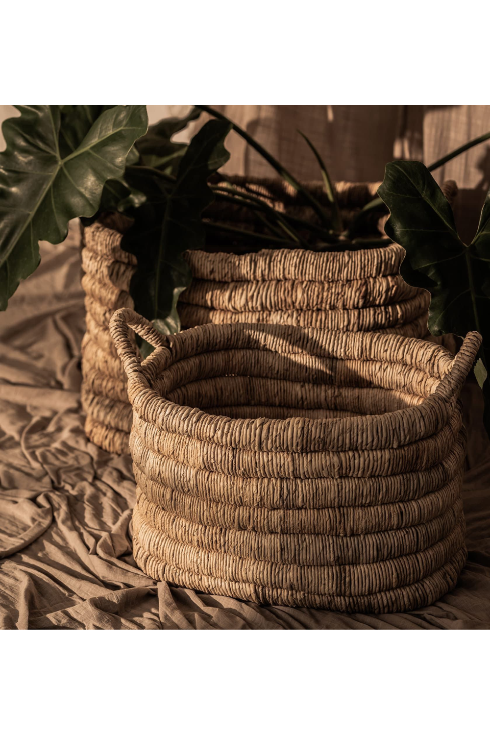 Rectangular Abaca Basket With Handle | dBodhi Caterpillar Sago | OROA.com