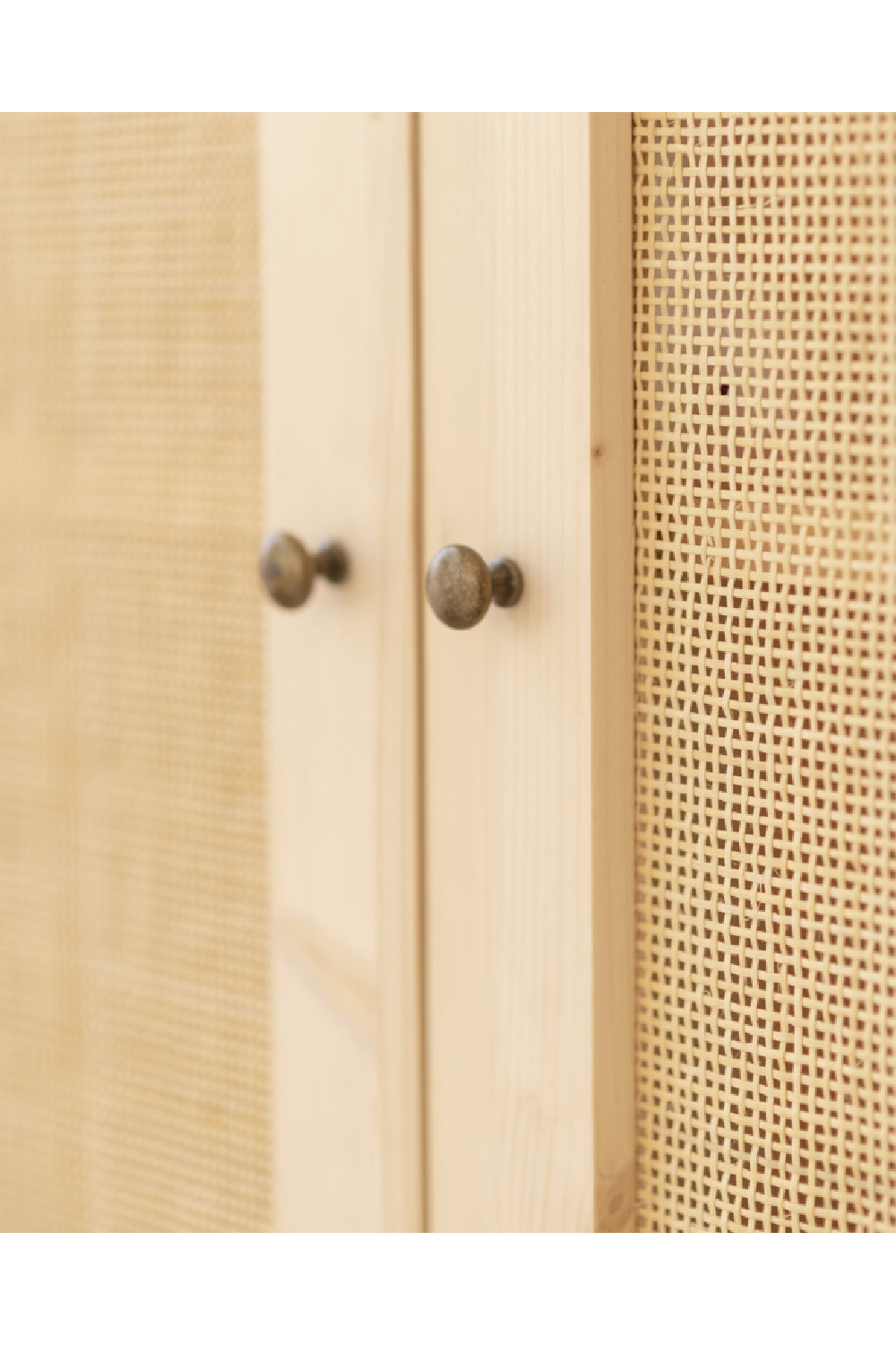 Rattan 2-Door Cabinet | Decowood Frida | Oroa.com
