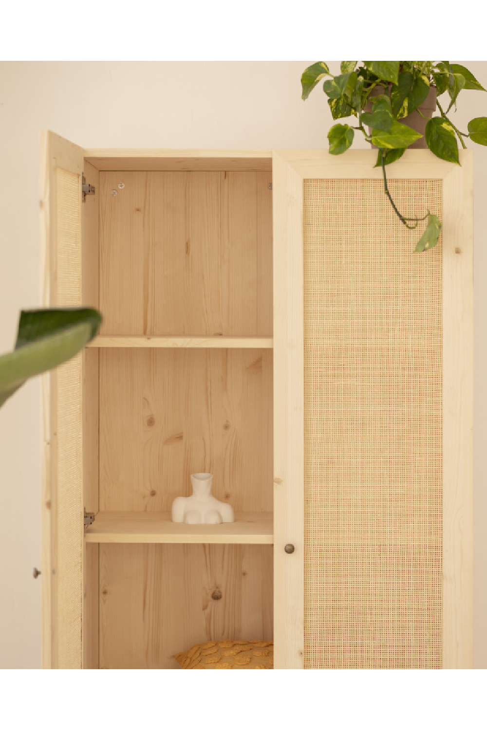Rattan 2-Door Cabinet | Decowood Frida | Oroa.com
