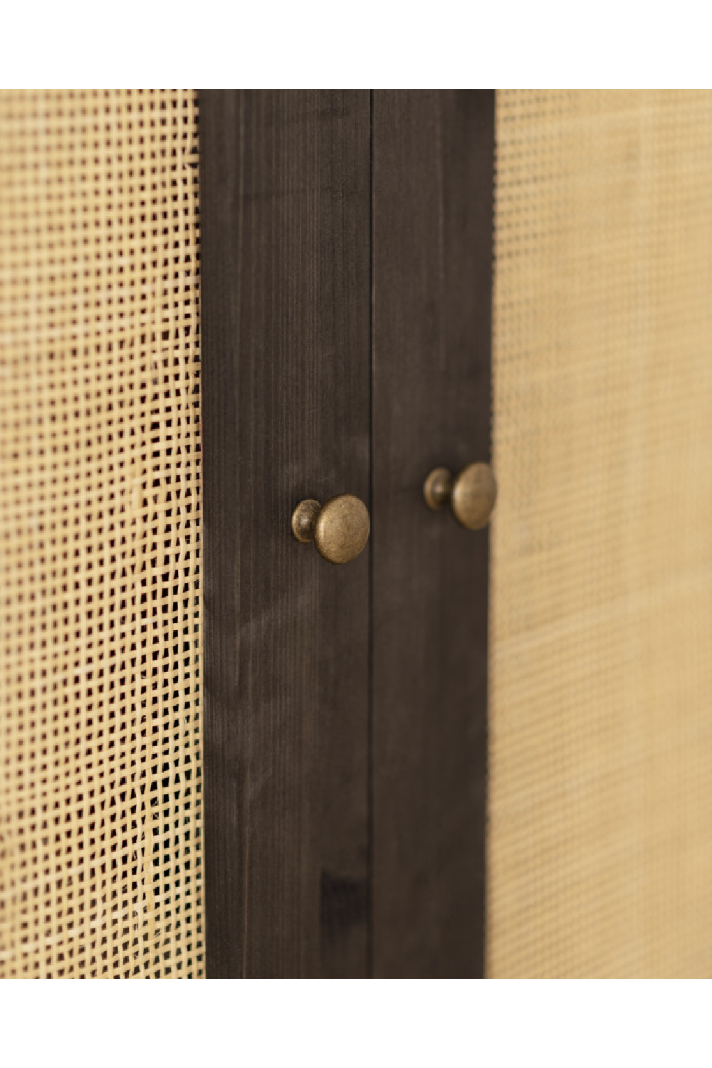 Rattan 2-Door Cabinet | Decowood Frida | Oroa.com