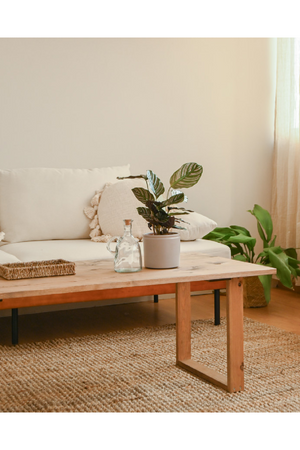 Solid Pine Coffee Table | Decowood Bielsa | Oroa.com