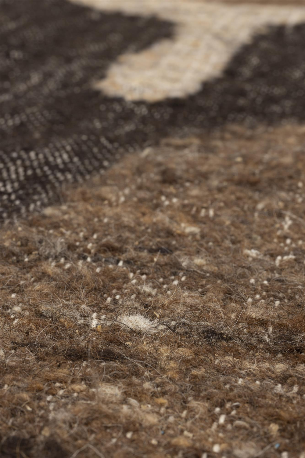 Hand-woven Wool Carpet 6'7" x 10' | Dutchbone Briton | OROA.com
