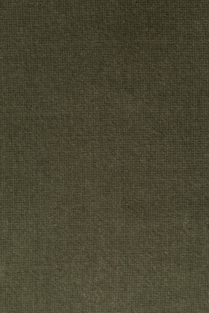 Camel Swivel Lounge Chair | Dutchbone Member |  Oroa.com