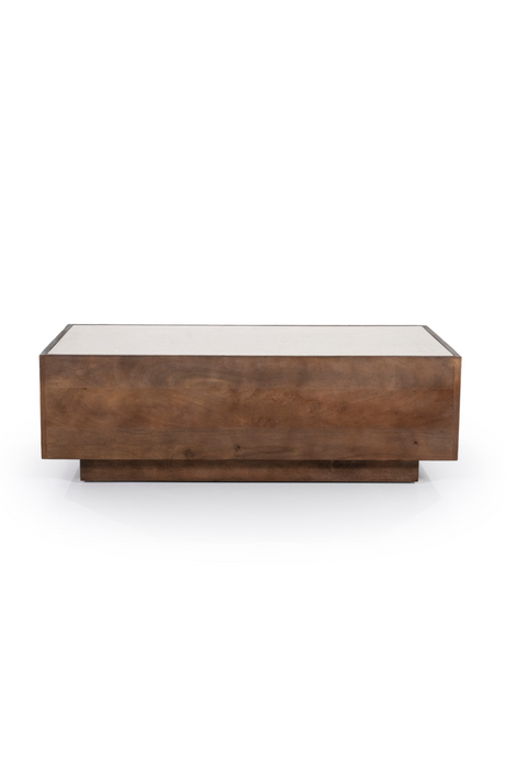 Mango Wood Box Coffee Table | Eleonora Hazel | OROA.com