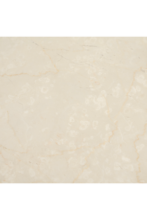 White Marble Top Coffee Table | Eleonora Fred | OROA.com