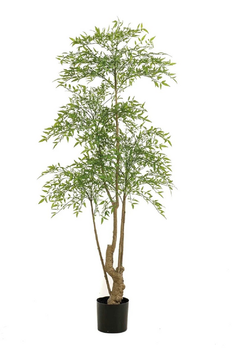 Faux Green Leafy Trees (2) | Emerald Ruscus | Oroa.com