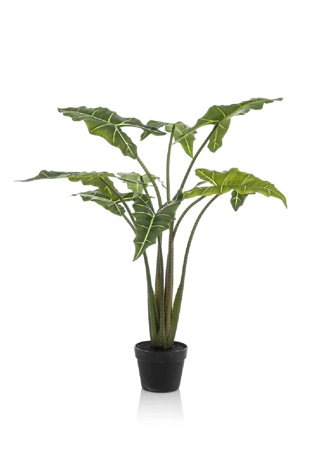 Arrow-Shaped Leaves Faux Houseplants (2) L | Emerald Alocasia | Oroa.com 
