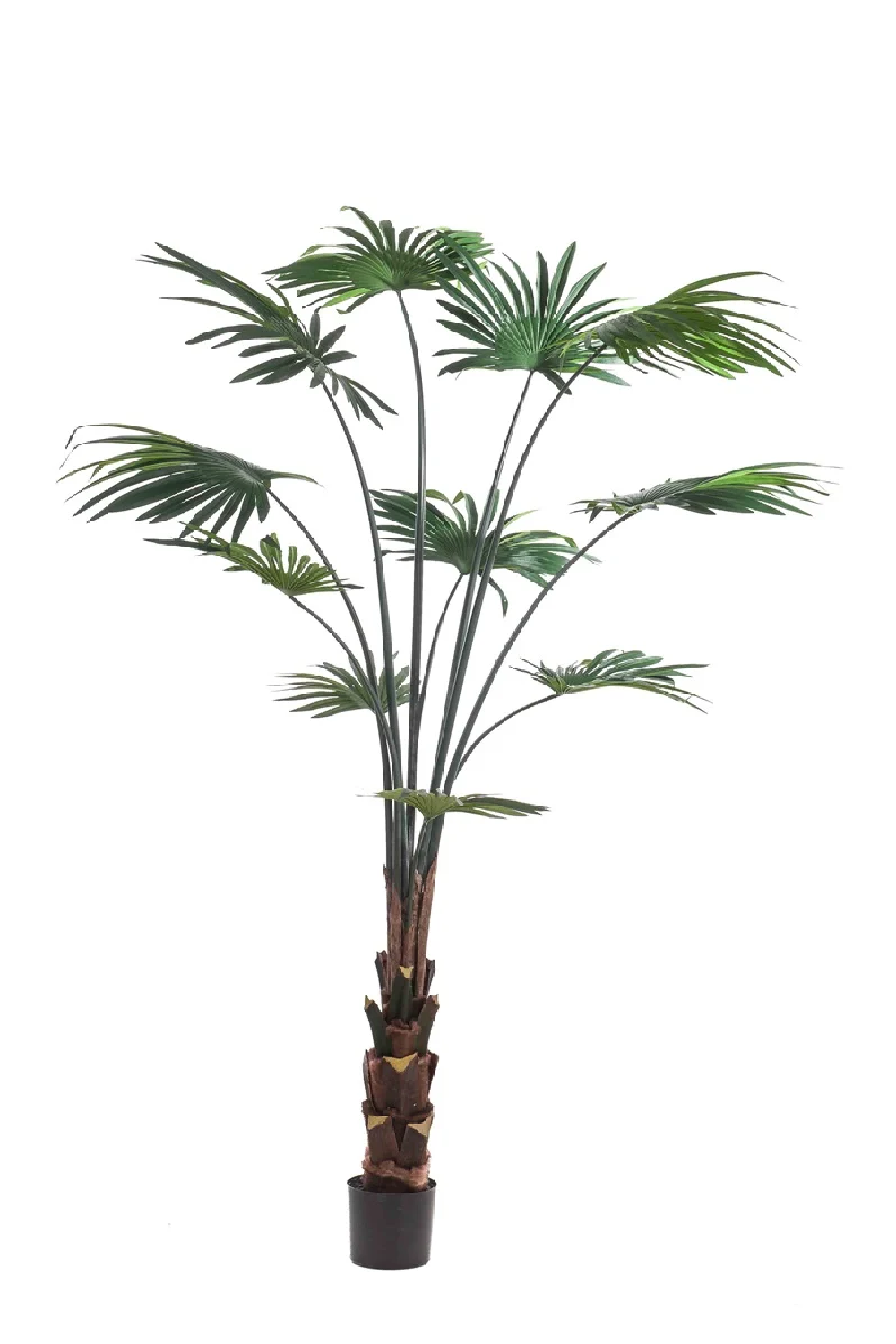 Faux Chinese Fan Plants - S (2) | Emerald Palm Livistona | Oroa.com