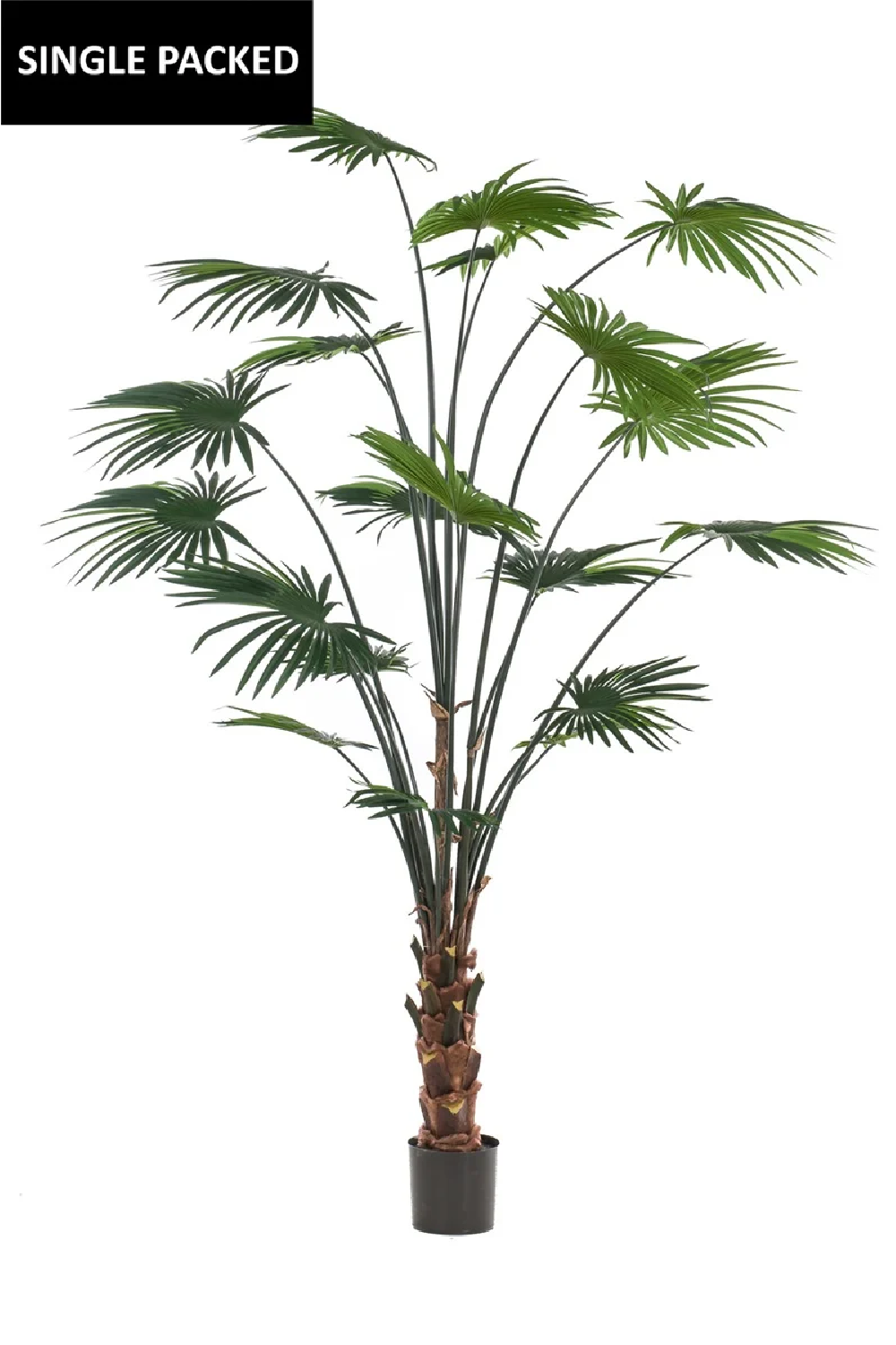 Faux Chinese Fan Plants - M (2) | Emerald Palm Livistona | Oroa.com