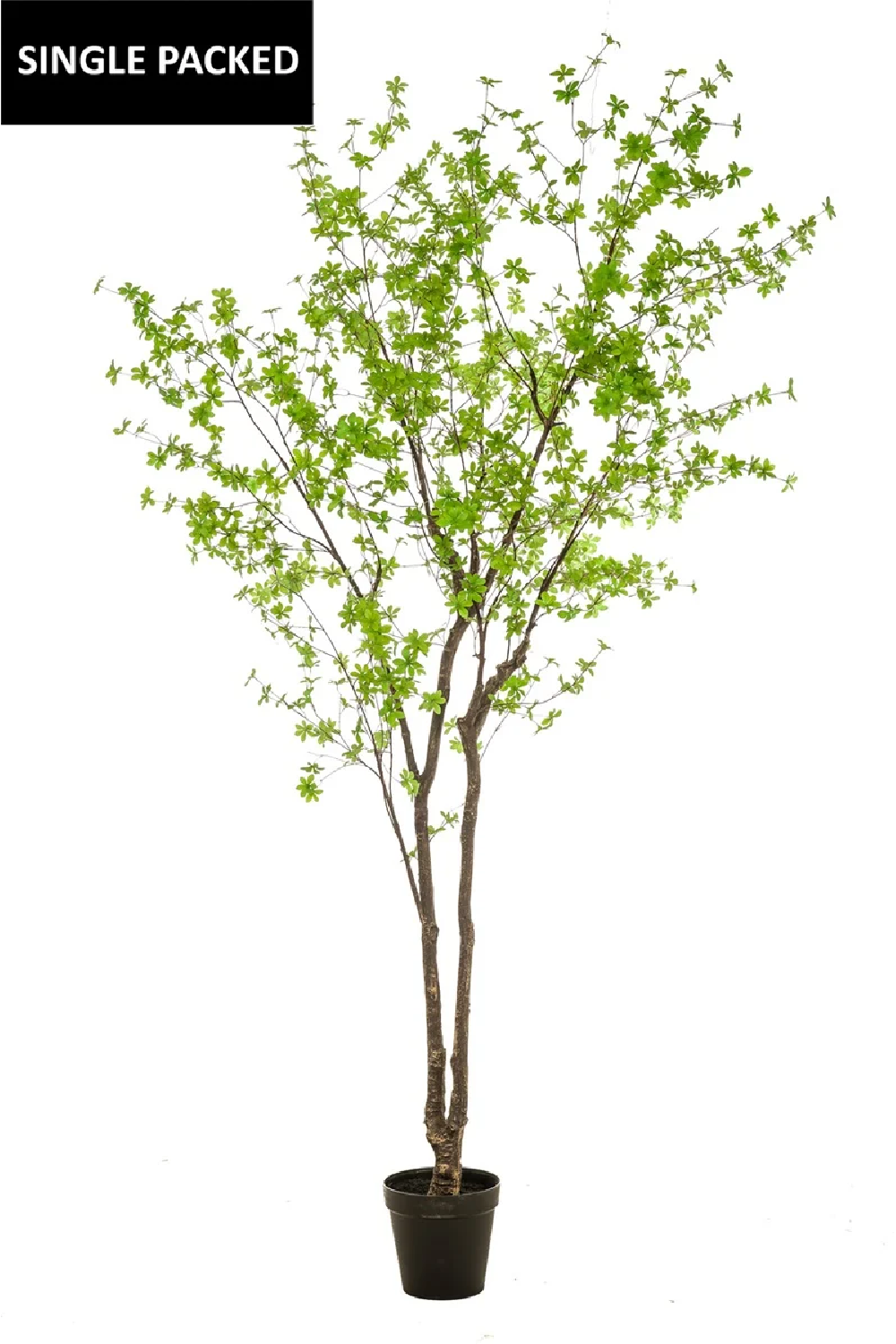 Potted Faux Green Tree | Emerald Tropaeolum | Oroa.com