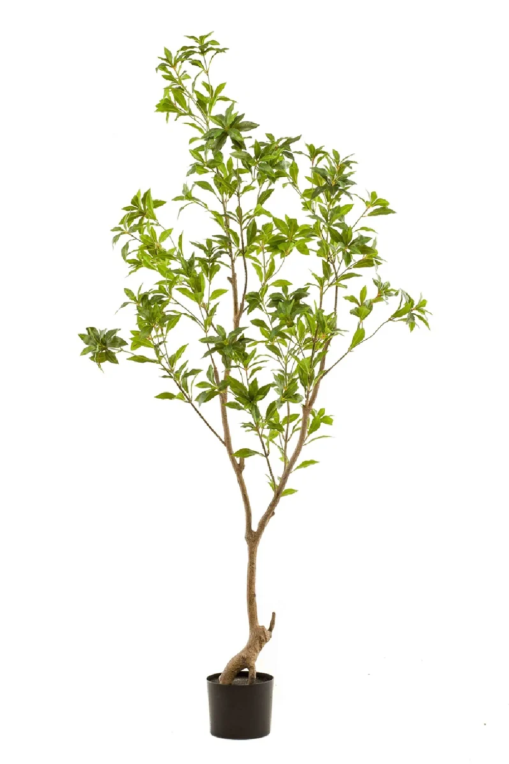 Green Faux Trees (2) | Emerald Tea Leaf | Oroa.com