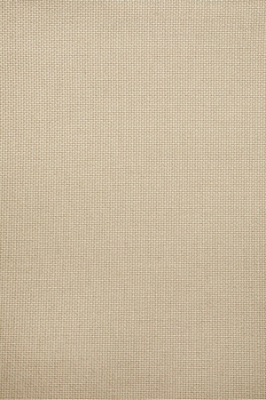 Minimalist Outdoor Lounge Chair | Ethnicraft Safari | Oroa.com