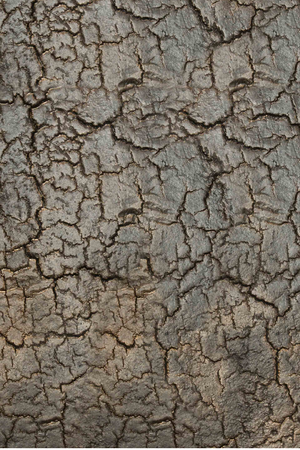 Mineral Console Table | Ethnicraft Pentagon | OROA.COM