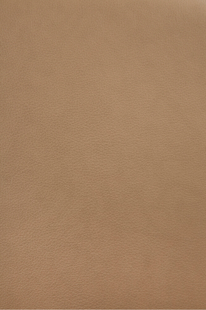 Varnished Oak Leather Lounge Chair | Ethnicraft Eye | Oroa.com