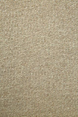 Upholstered Curved Lounge Chair | Ethnicraft Eye | Oroa.com