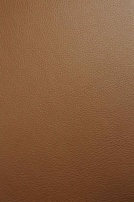 Cushioned Scandinavian Dining Chair | Ethnicraft Bok | Oroa.com