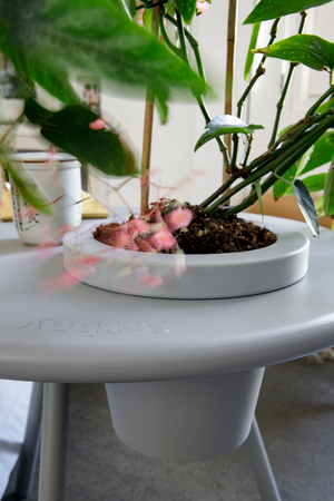 Tripod Outdoor Planter Side Table | Fatboy Bakkes | OROA.com